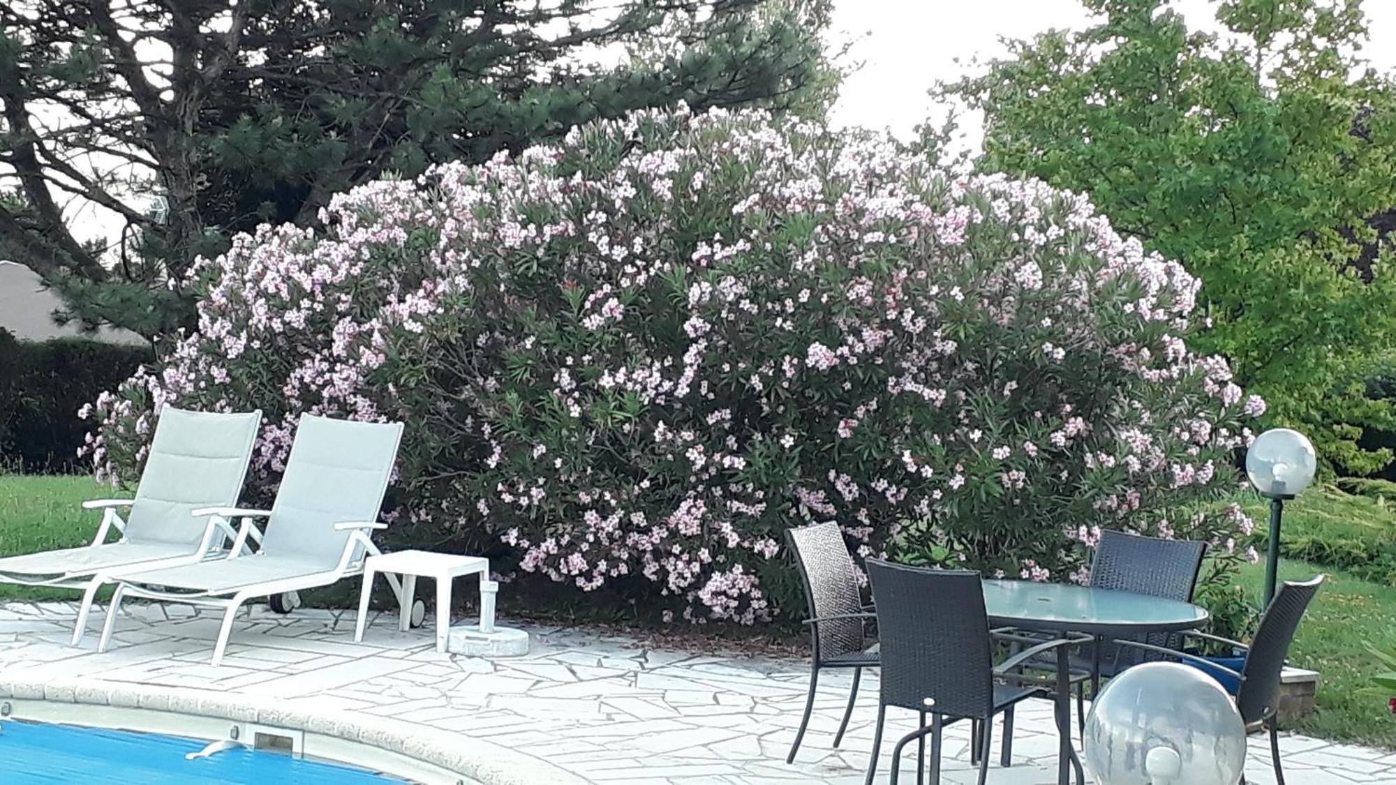 Villa Avec Vue Biviers Esterno foto